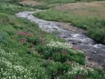 /album/fotogaleria/creek-jpg/
