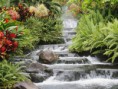 /album/fotogaleria/waterfall-jpg1/